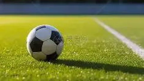 PM体育平台首页 产品 104654 31r