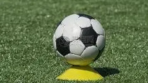 PM体育平台首页 资讯 104704 p9q