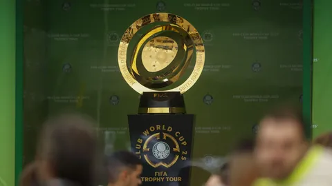 告别战场再展翅，奥斯卡或效仿“暴力鸟”演绎华丽逆袭传奇